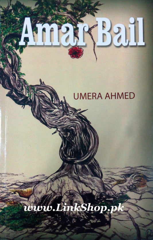 Amar Bail (English Version)