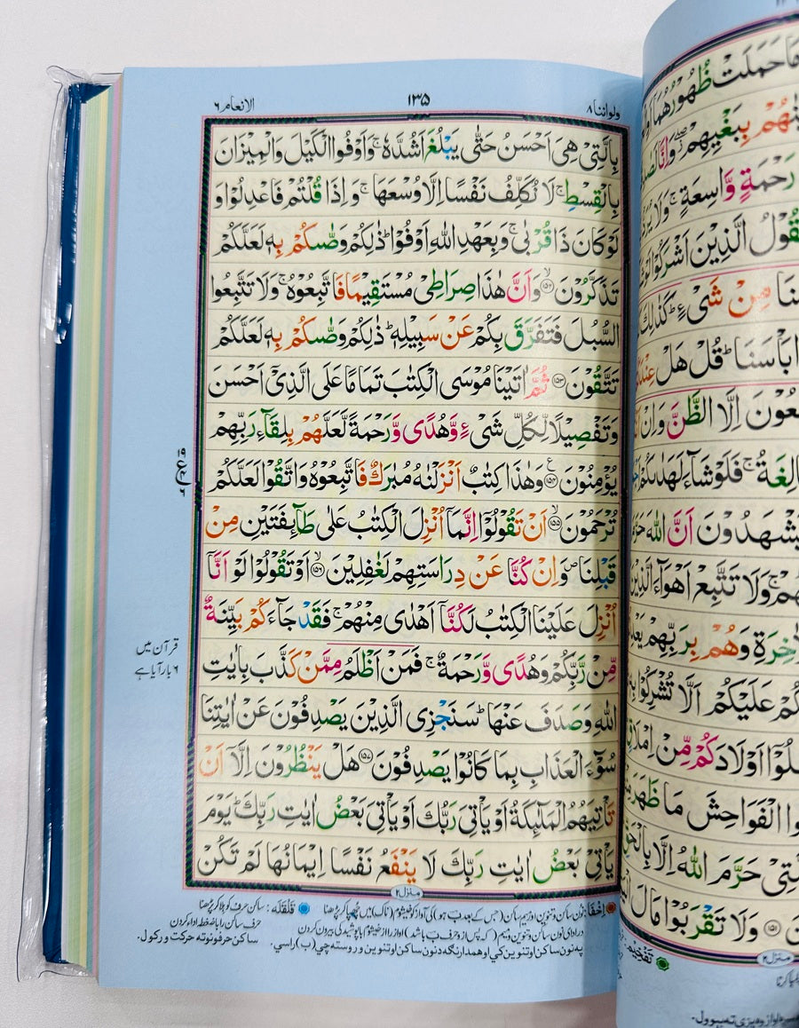 Tajweed Quran - Medium - 16 Lines - تجویدی قرآن