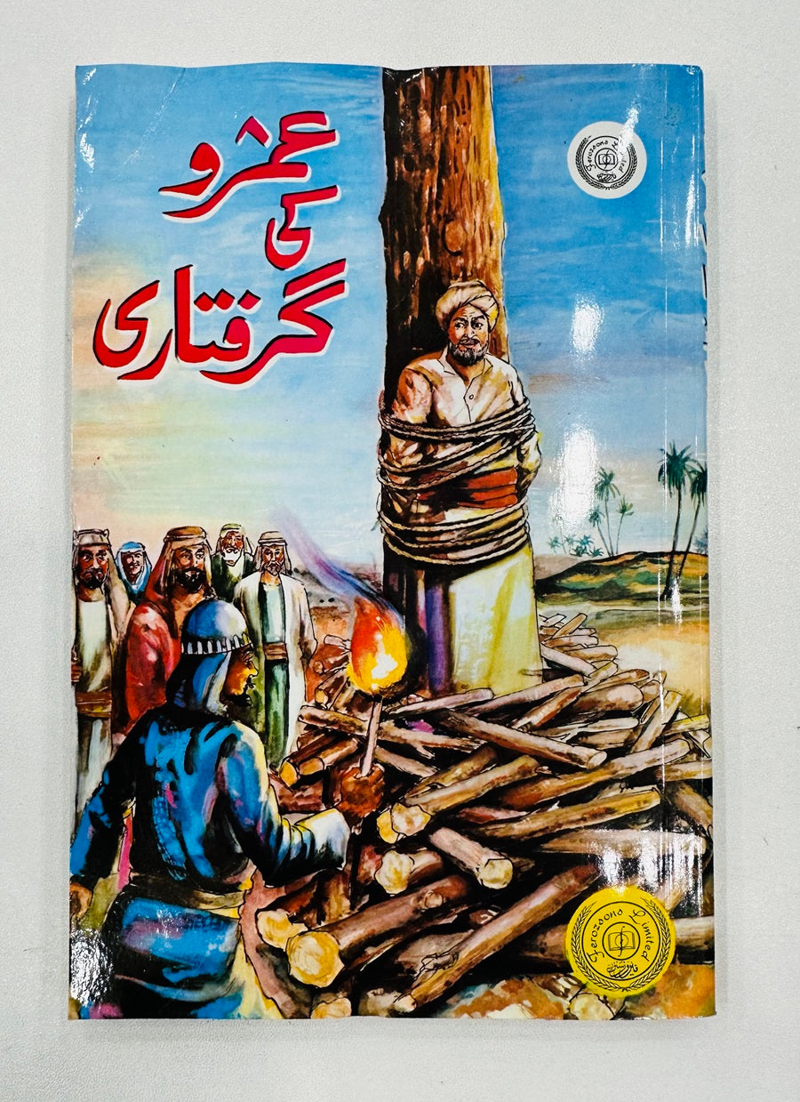 Umro Ayyar Set Of 10 Book By Akhtar Rizvi - عمرو عیار کی 10 کتب کا سیٹ